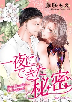 一夜にできた秘密【新装版】 1巻