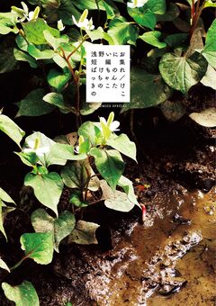浅野いにお短編集 ばけものれっちゃん/きのこたけのこ 1巻