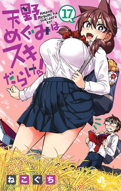 天野めぐみはスキだらけ! 17巻