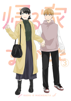 帰る家まちがえた 3巻