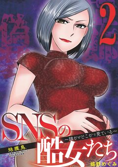 SNSの酷女たち 誰かがどこかで見ている 2巻