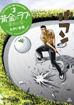 黄金のラフ2～草太の恋～ 3巻