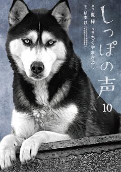 しっぽの声 10巻