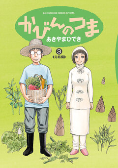 かびんのつま 3巻