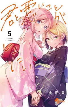 君と悪いことがしたい 5巻