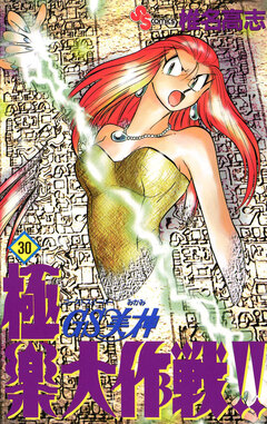 GS美神 極楽大作戦!! 30巻