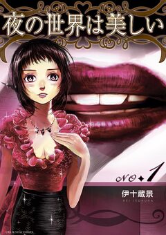 夜の世界は美しい 1巻
