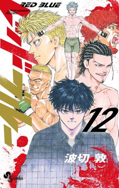 レッドブルー 12巻