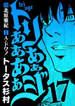 トリああああああジ 17巻