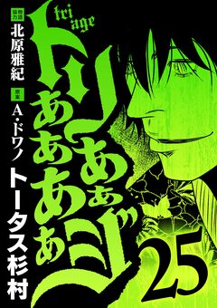 トリああああああジ 25巻