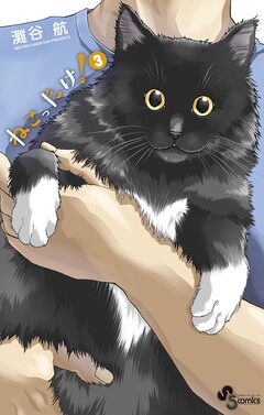 ねこったけ! 3巻