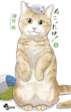 ねこったけ! 4巻