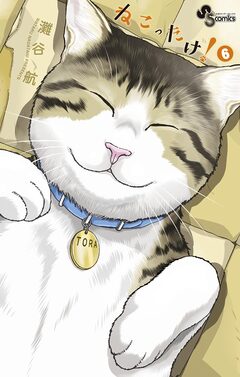 ねこったけ! 6巻