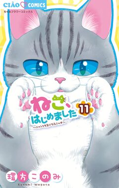 ねこ、はじめました 11巻