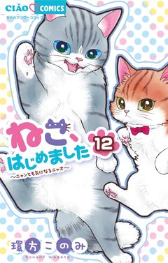ねこ、はじめました 12巻