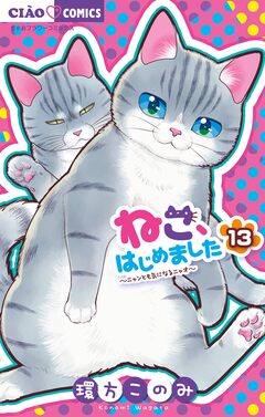 ねこ、はじめました 13巻