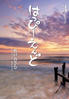 はっぴーえんど 3巻