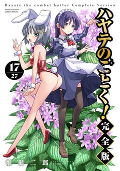 ハヤテのごとく! 完全版 17巻