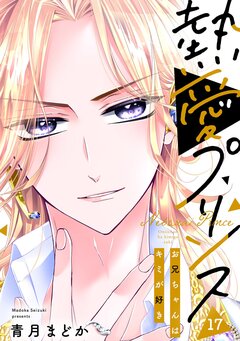 熱愛プリンス お兄ちゃんはキミが好き 17巻