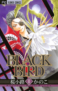 BLACK BIRD 11巻