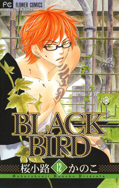 BLACK BIRD 12巻