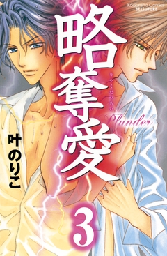 略奪愛 分冊版 3巻