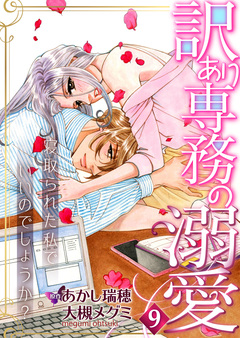 訳あり専務の溺愛~寝取られた私でいいのでしょうか?~ 9巻