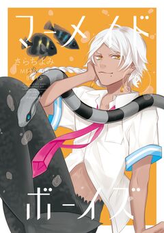 マーメイド・ボーイズ 2巻