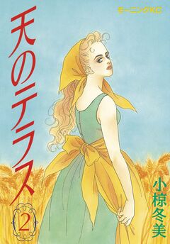 天のテラス 2巻