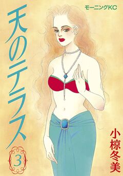 天のテラス 3巻
