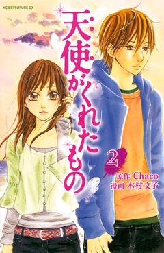 天使がくれたもの 2巻