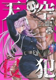 天空侵犯 分冊版 29巻
