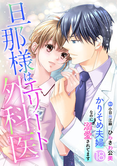 旦那様はエリート外科医~かりそめ夫婦なのに溺愛されてます~【分冊版】 18巻