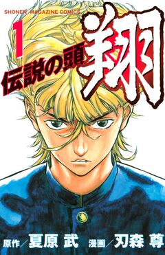 伝説の頭 翔 1巻