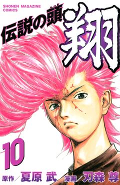 伝説の頭 翔 10巻