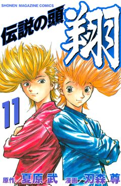 伝説の頭 翔 11巻