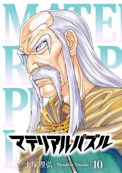 マテリアル・パズル 10巻
