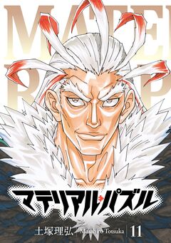 マテリアル・パズル 11巻