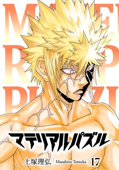 マテリアル・パズル 17巻