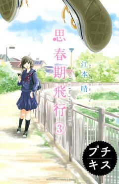 思春期飛行 プチキス 3巻