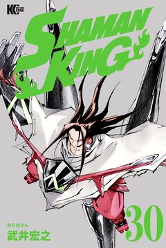 SHAMAN KING 30巻