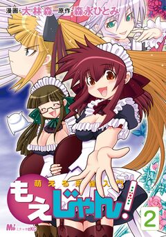 萌える麻雀入門 もえじゃん! 2巻