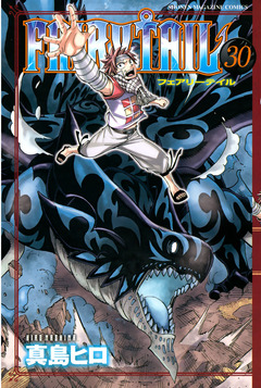 FAIRY TAIL 30巻