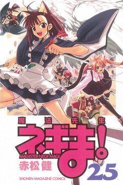 魔法先生ネギま! 25巻