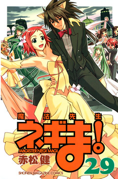 魔法先生ネギま! 29巻