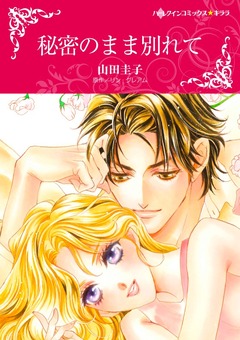 秘密のまま別れて【新装版】 1巻