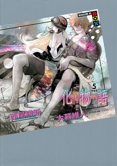 化物語 特装版 5巻