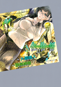 化物語 特装版 11巻