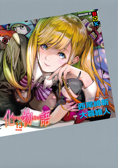 化物語 特装版 13巻