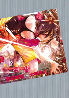 化物語 特装版 19巻